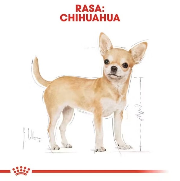 Royal Canin Chihuahua adult - Пълноценна суха храна за чихуахуа в зряла възраст
